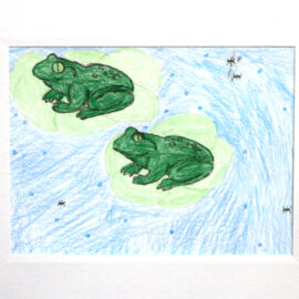 A Frog’s Life A Frog’s Life