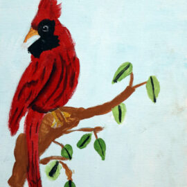Cardinal on Branch Cardinal on Branch