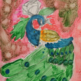 Peacock