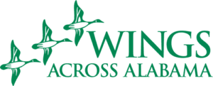 Logo of WINGS Across Alabama, featuring the word 'WINGS' in bold, dark blue letters with a stylized green bird in flight, symbolizing freedom and support, accompanied by the words 'Across Alabama' in green.