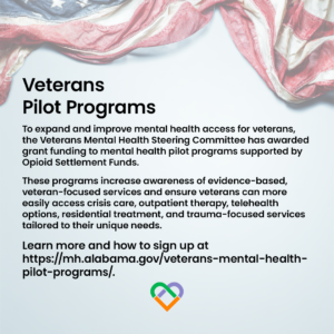 Veterans IG - pilot programs