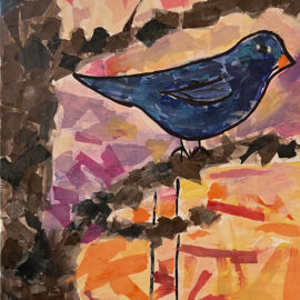Bluebird at Sunset