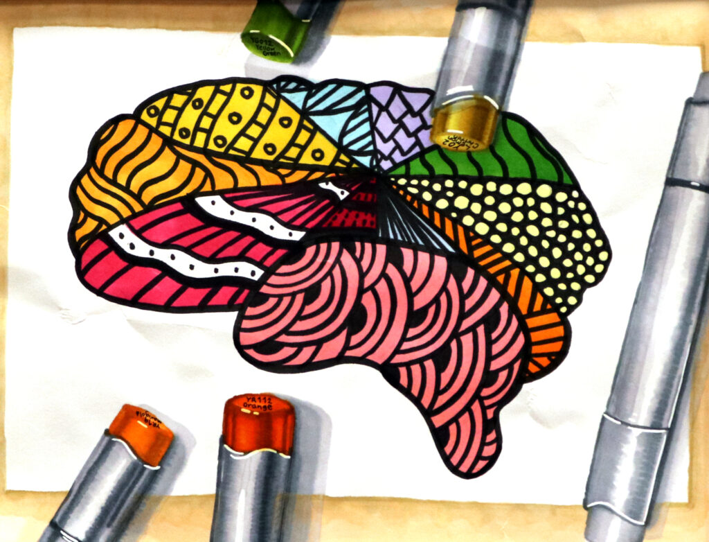 drawing of a brain and markers