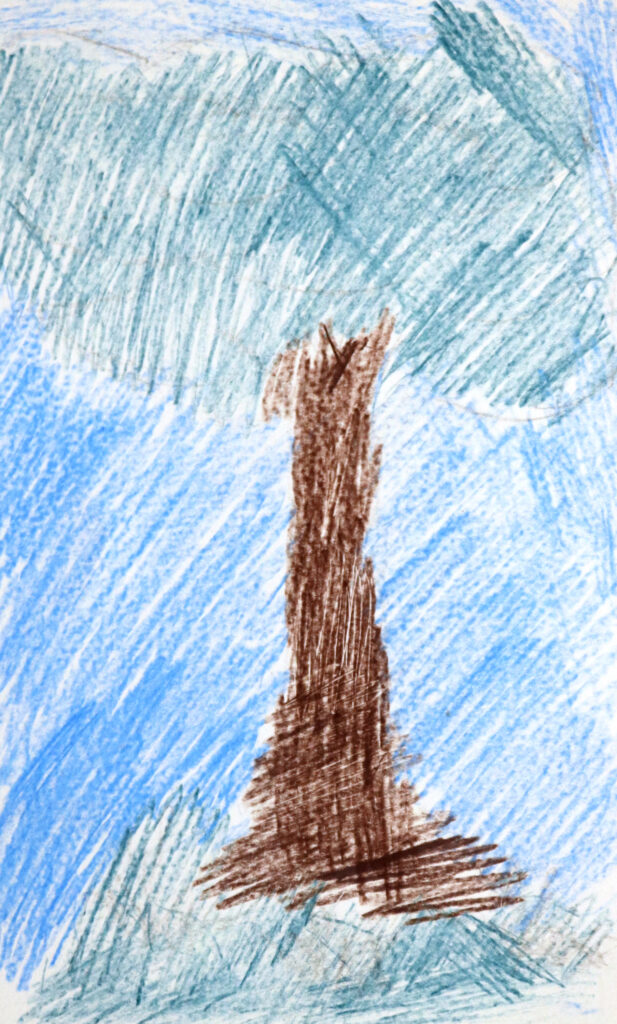 a single tree