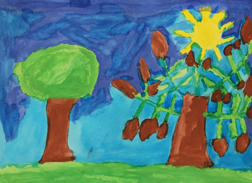 two trees on a sunny day