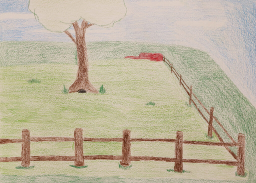 a green pasture with a tree and fence