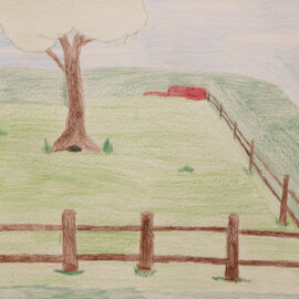 Pasture