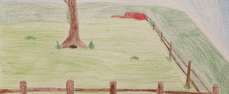 a green pasture with a tree and fence