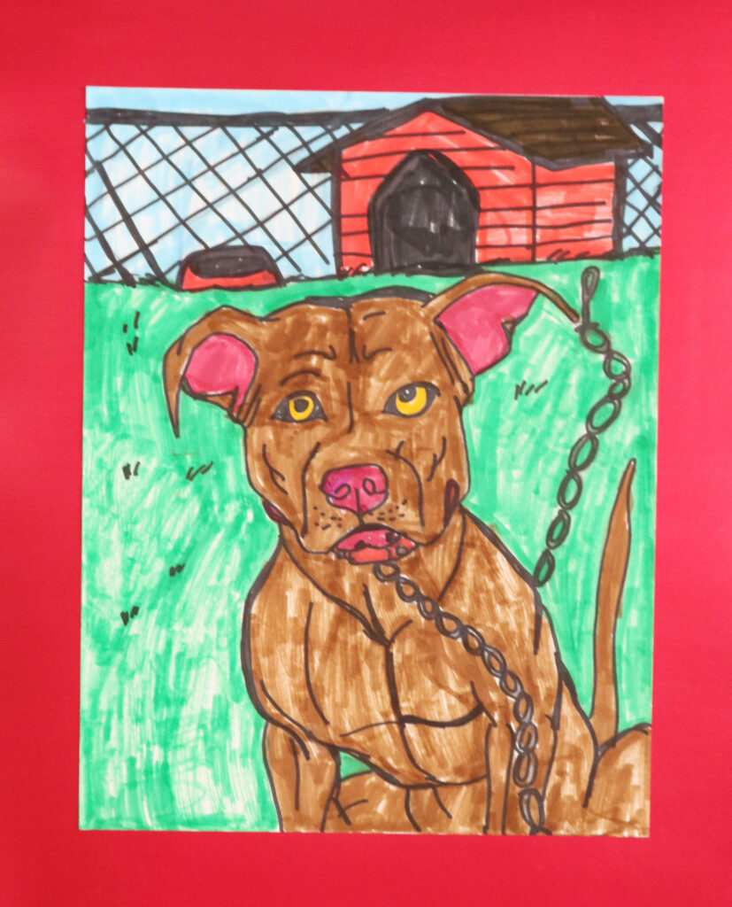 portrait of a brown pit bull terrier