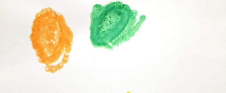 flowers in different colors
