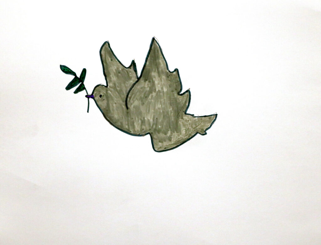 a gray dove holding an olive branch