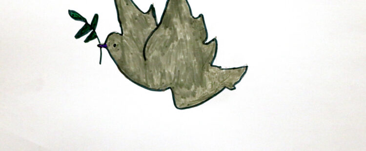 a gray dove holding an olive branch