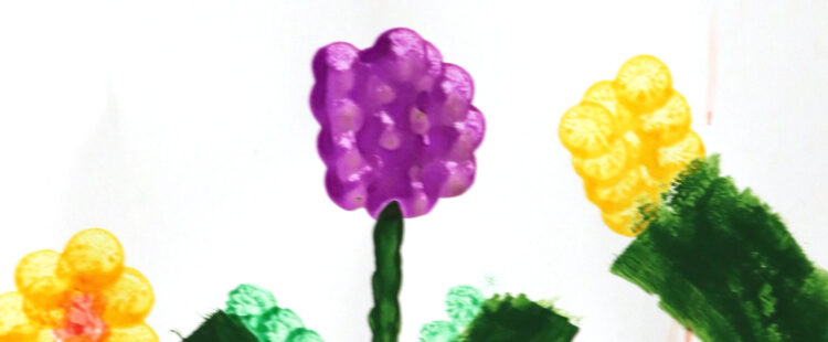 flowers in many colors