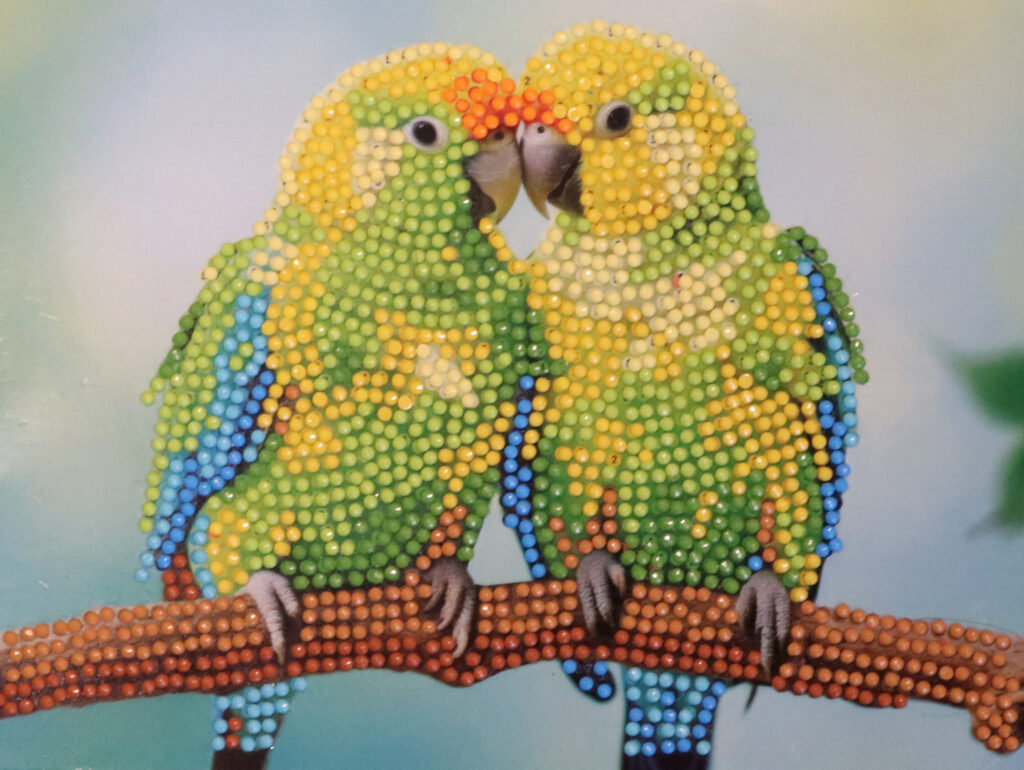 two yellow love birds on a branch